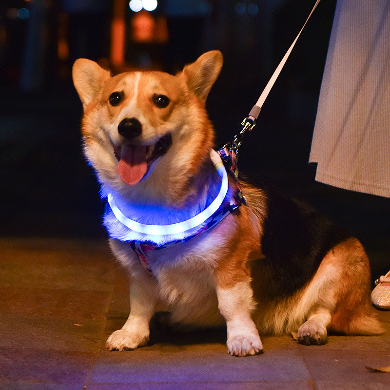 Rechargeable LED Dog Collar