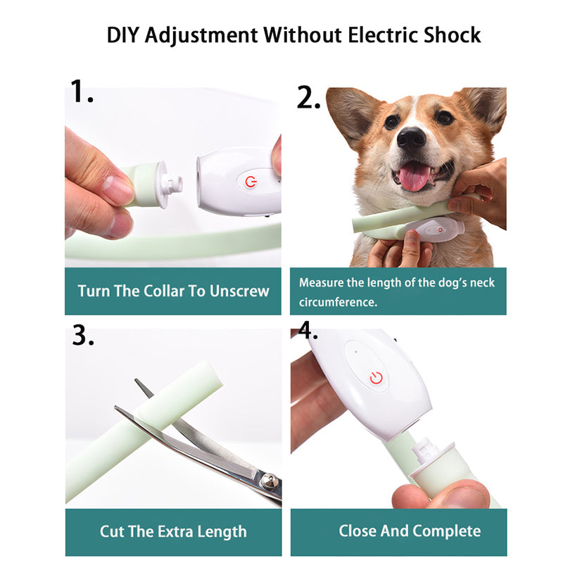 Rechargeable LED Dog Collar