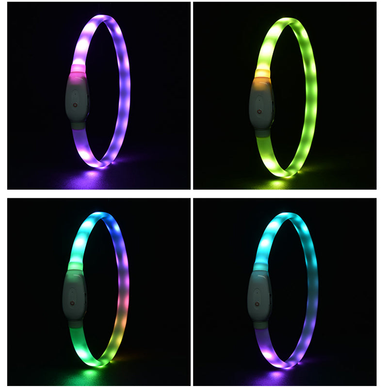 Rechargeable LED Dog Collar