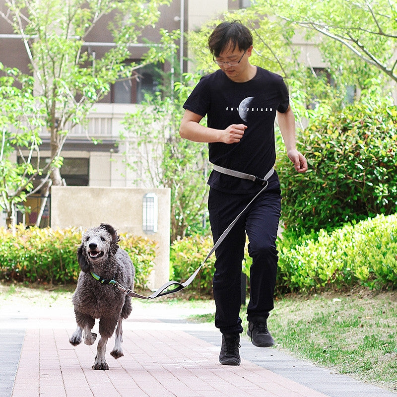 Multifunctional Dog Leash