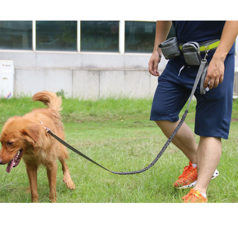 Hands-Free Dog Running Leash