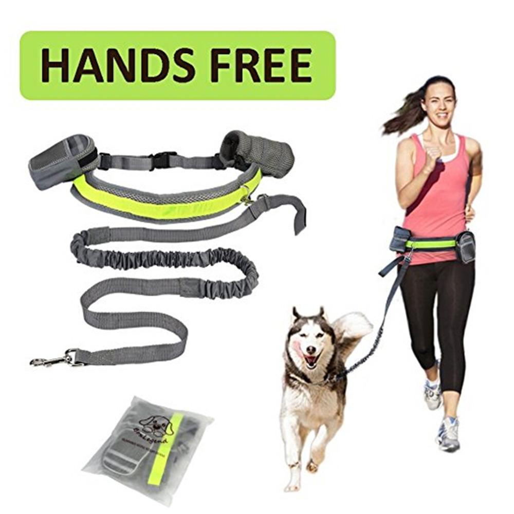 Hands-Free Dog Running Leash