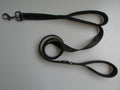 Dog Double Handle Pull Leash