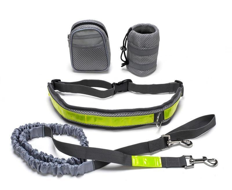 Hands-Free Dog Running Leash