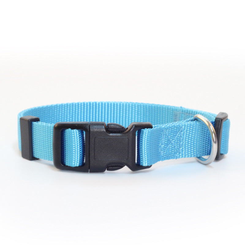 Adjustable Puppy Collar