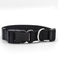 Adjustable Puppy Collar