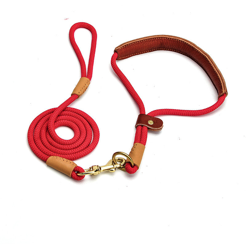 Lightweight Puppy Leash