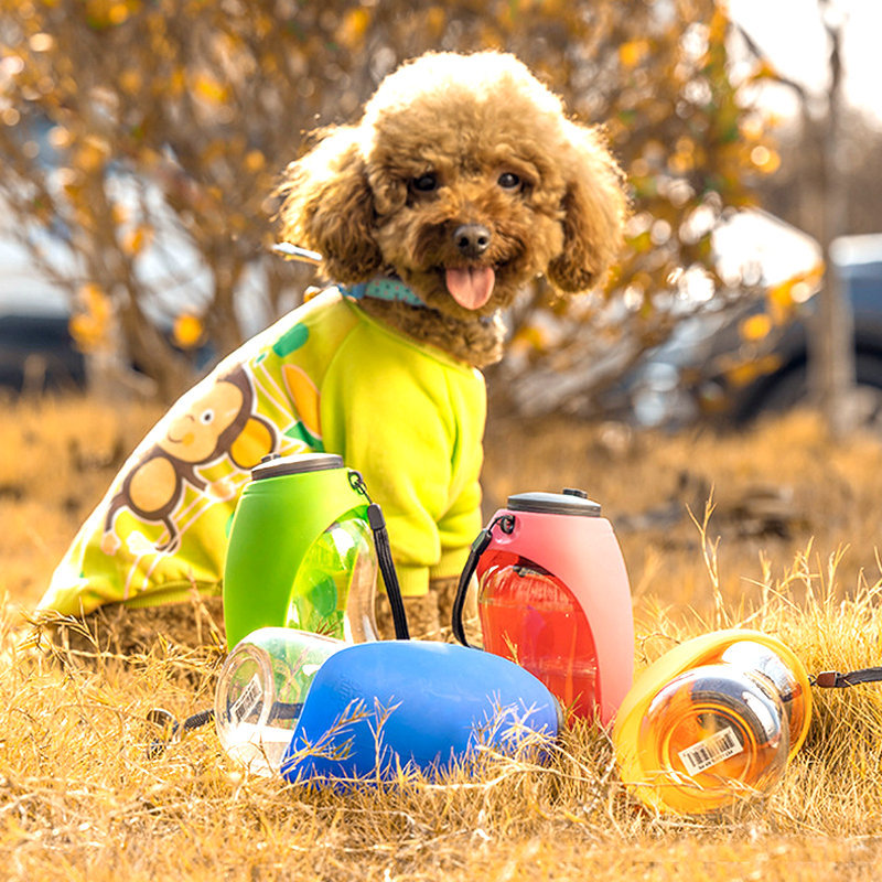 Portable Dog Water Bottle