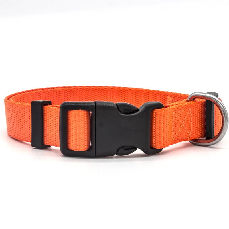 Adjustable Puppy Collar