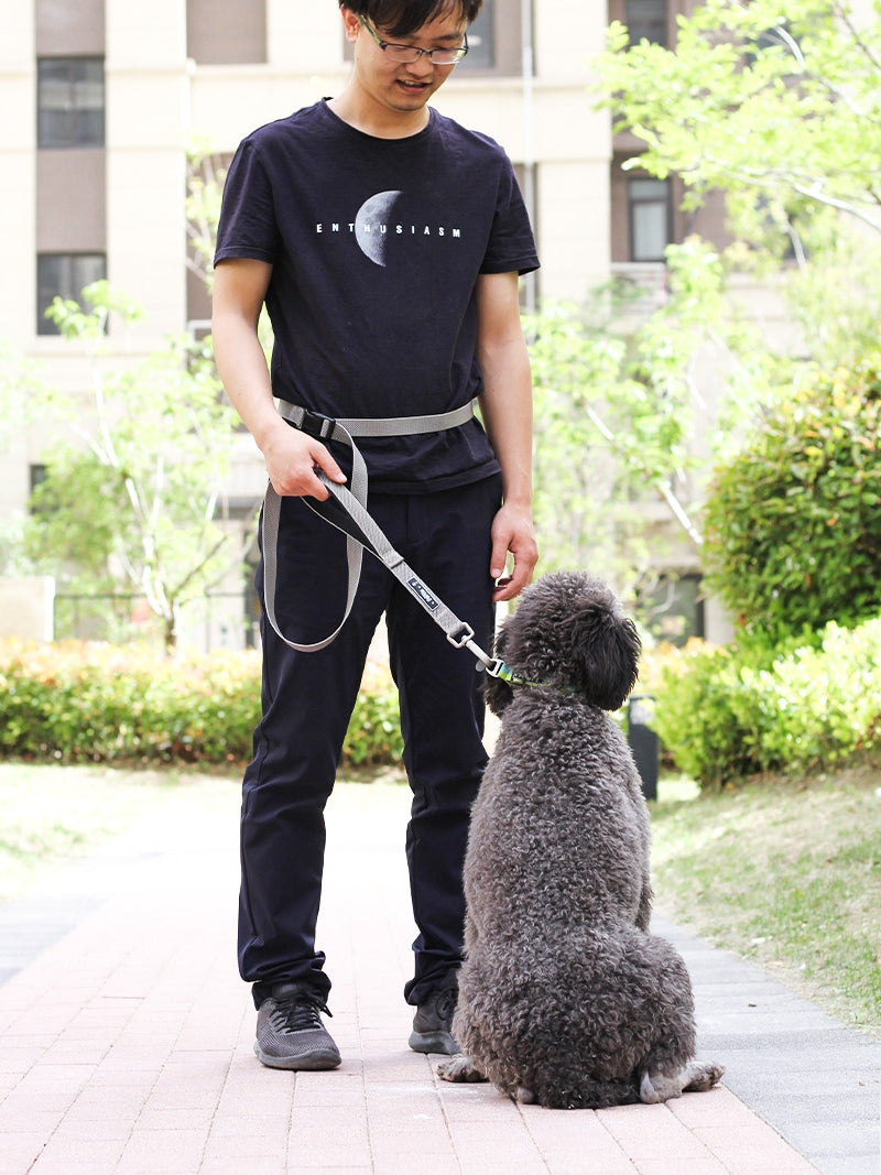 Multifunctional Dog Leash
