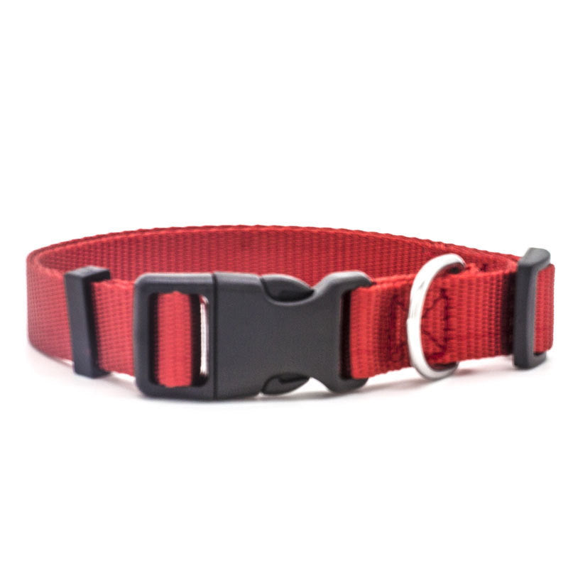 Adjustable Puppy Collar