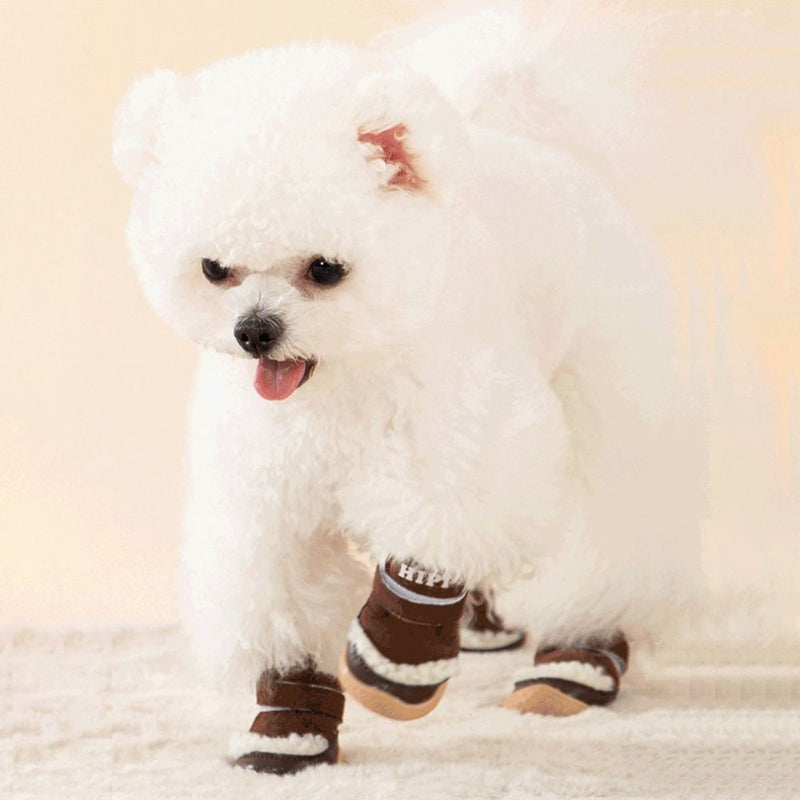 Puppy Shoes