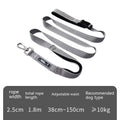 Multifunctional Dog Leash