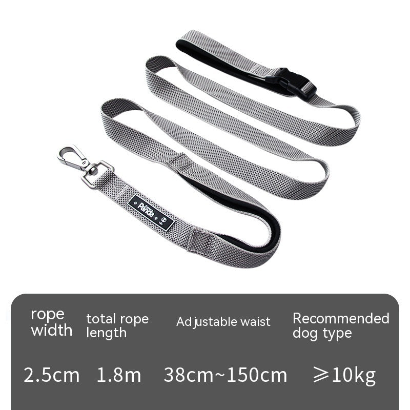 Multifunctional Dog Leash