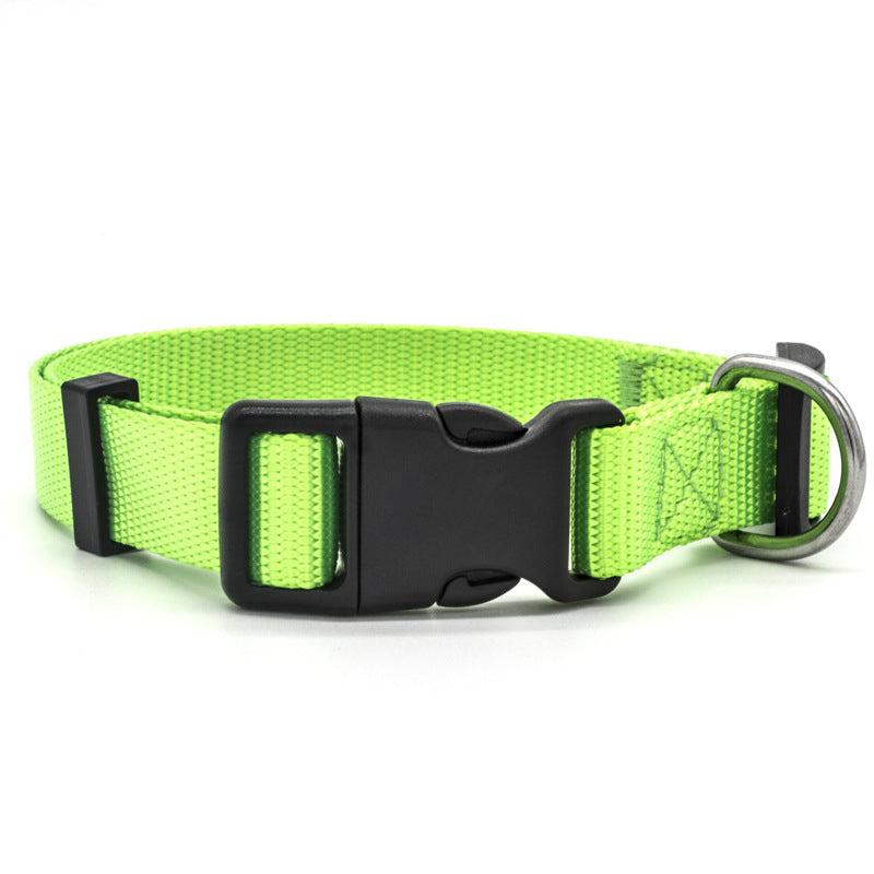 Adjustable Puppy Collar
